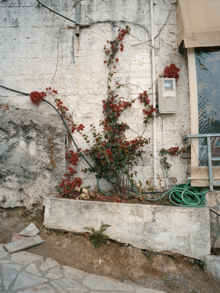 Corfu by Michèle Margot